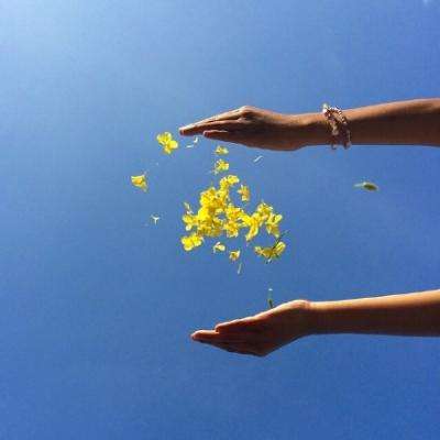 BB贝博平台登录app下载